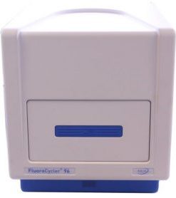 Máy Real time PCR FlouroCycler 96R